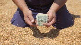 ОЗК начала закупки пшеницы на бирже